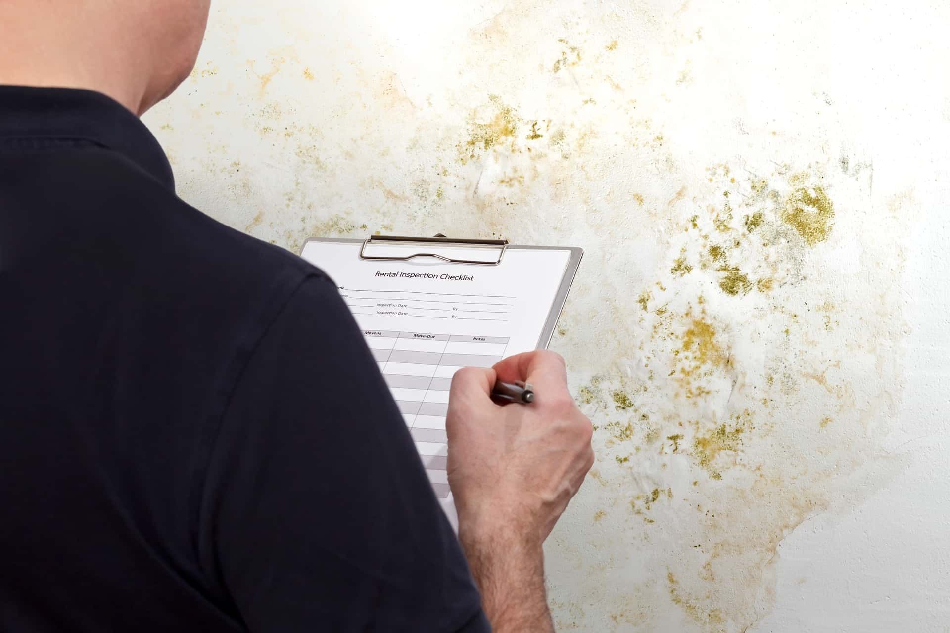 What is the difference between a Mold Inspection and a VOC test? - certified inspectors