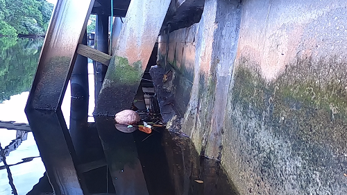 seawall-inspections-1