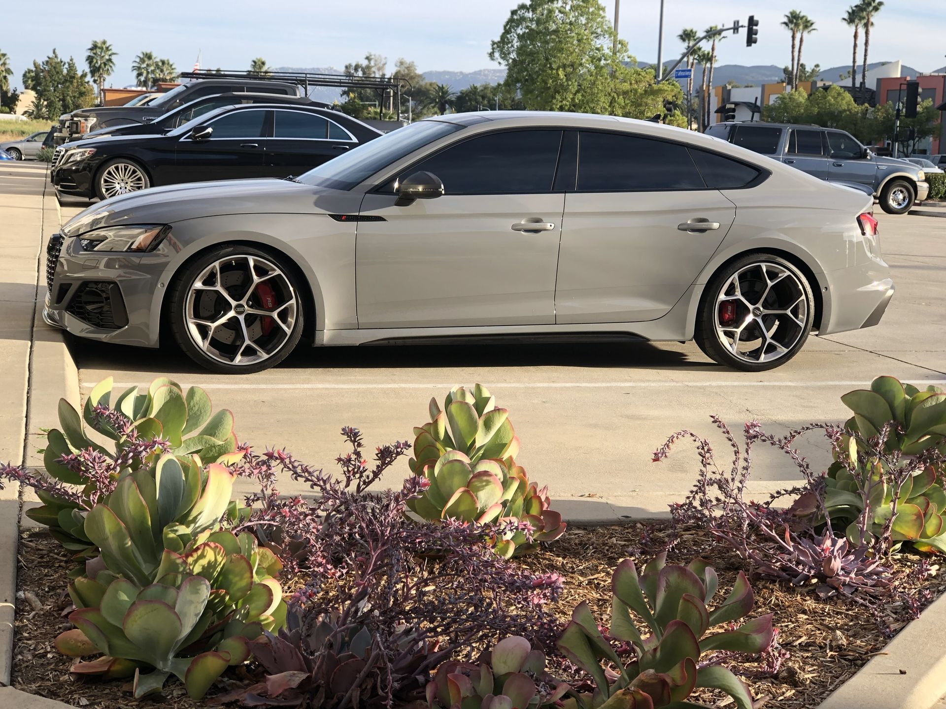 A gray car is parked in a parking lot surrounded by plants.
