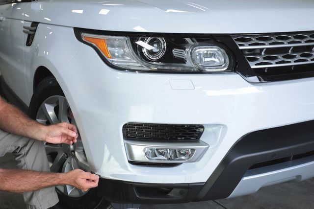 Paint Protection Tree — Murrieta, CA — Tintman Window Tinting & Paint Protection