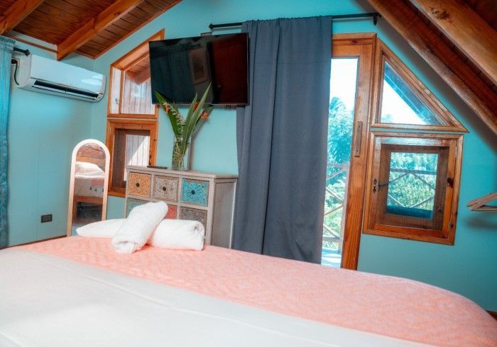 Bedroom with blue walls, wooden trim, and a bed with pink bedding. Features include a TV, a cabinet, and a window.