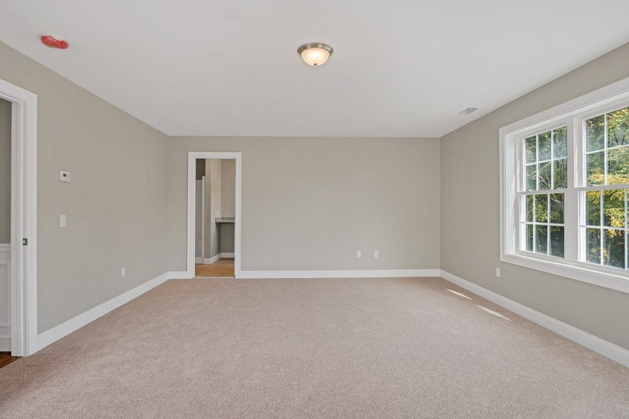 Empty room with light-colored carpet, grey walls, white trim, and a window overlooking greenery.