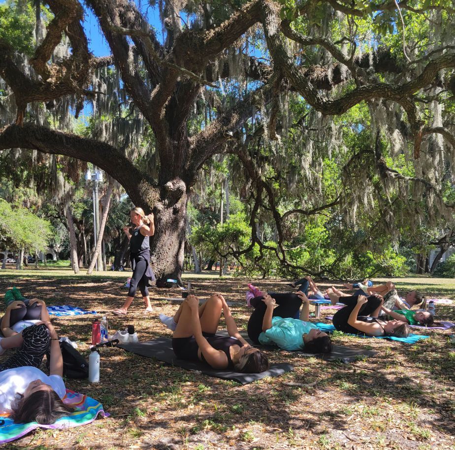 A group of people are doing yoga under a tree in a park