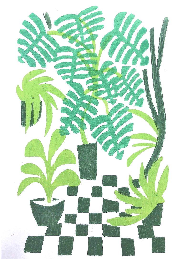 xilogravura colorida verde desenho plantas san miguel edgard bittencourt natureza maluca