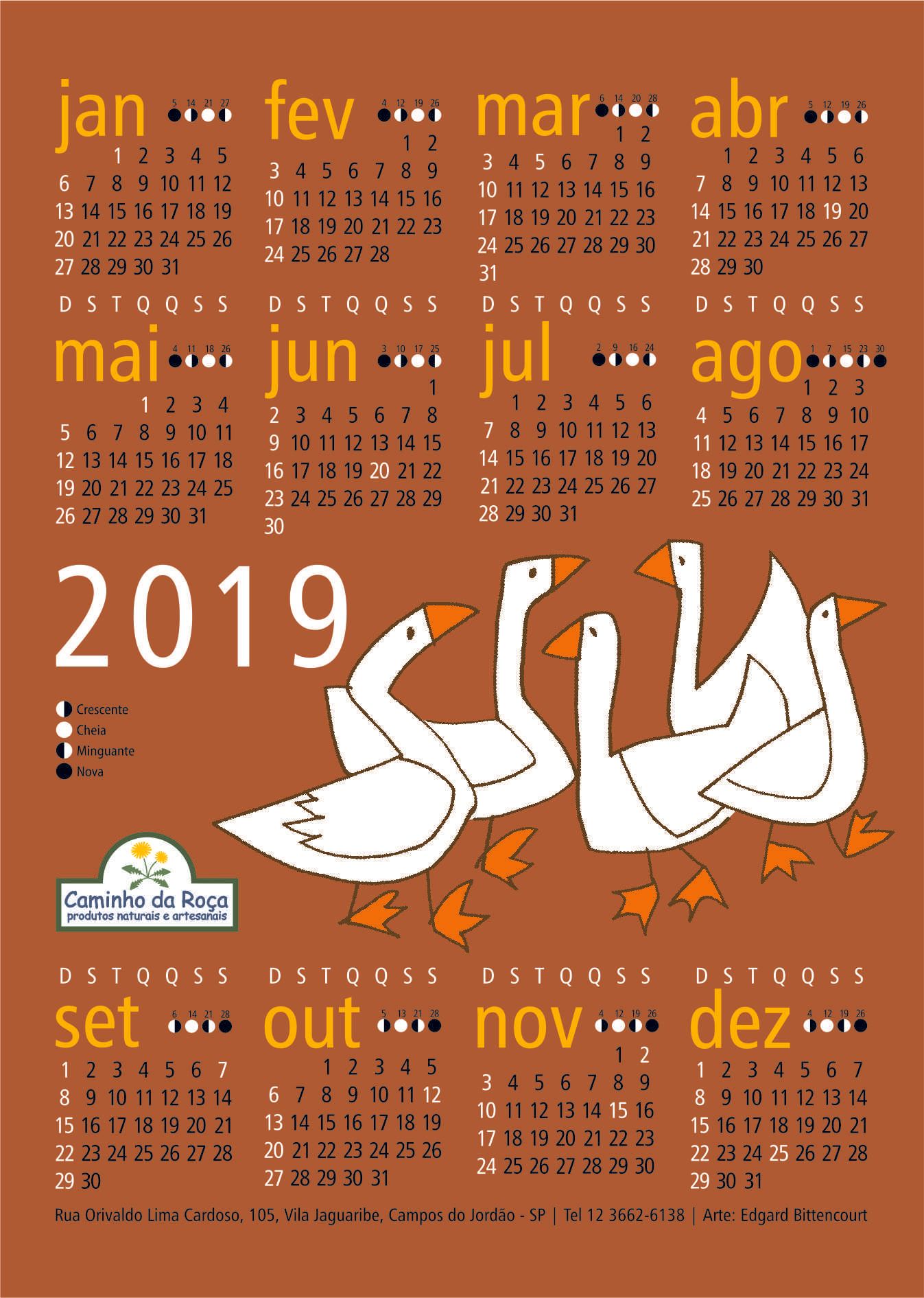 calendário 2019 gansos patos loja caminho da roça campos do jordão edgard bittencourt natureza maluca