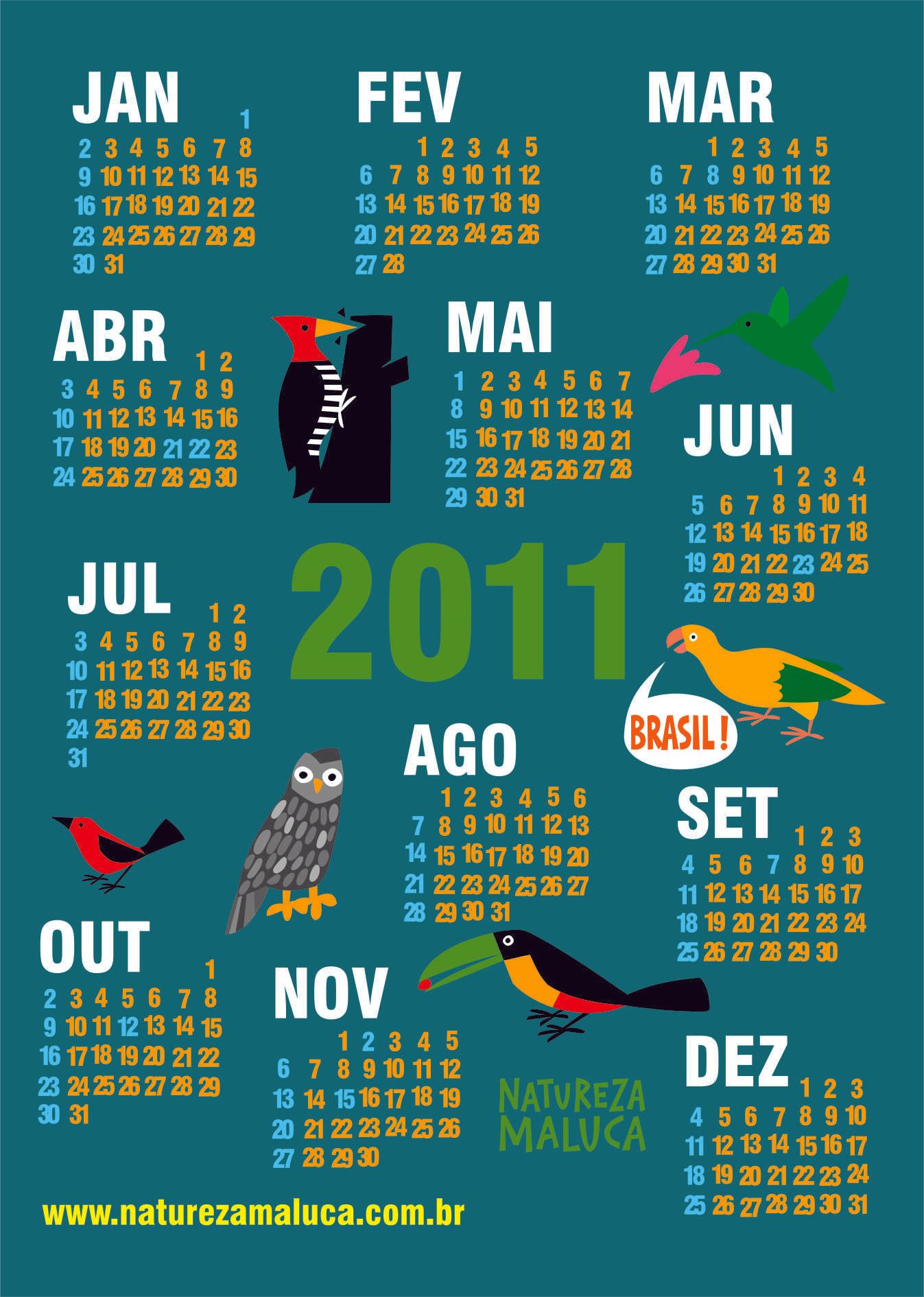 calendário 2011 desenho pássaros aves edgard bittencourt natureza maluca