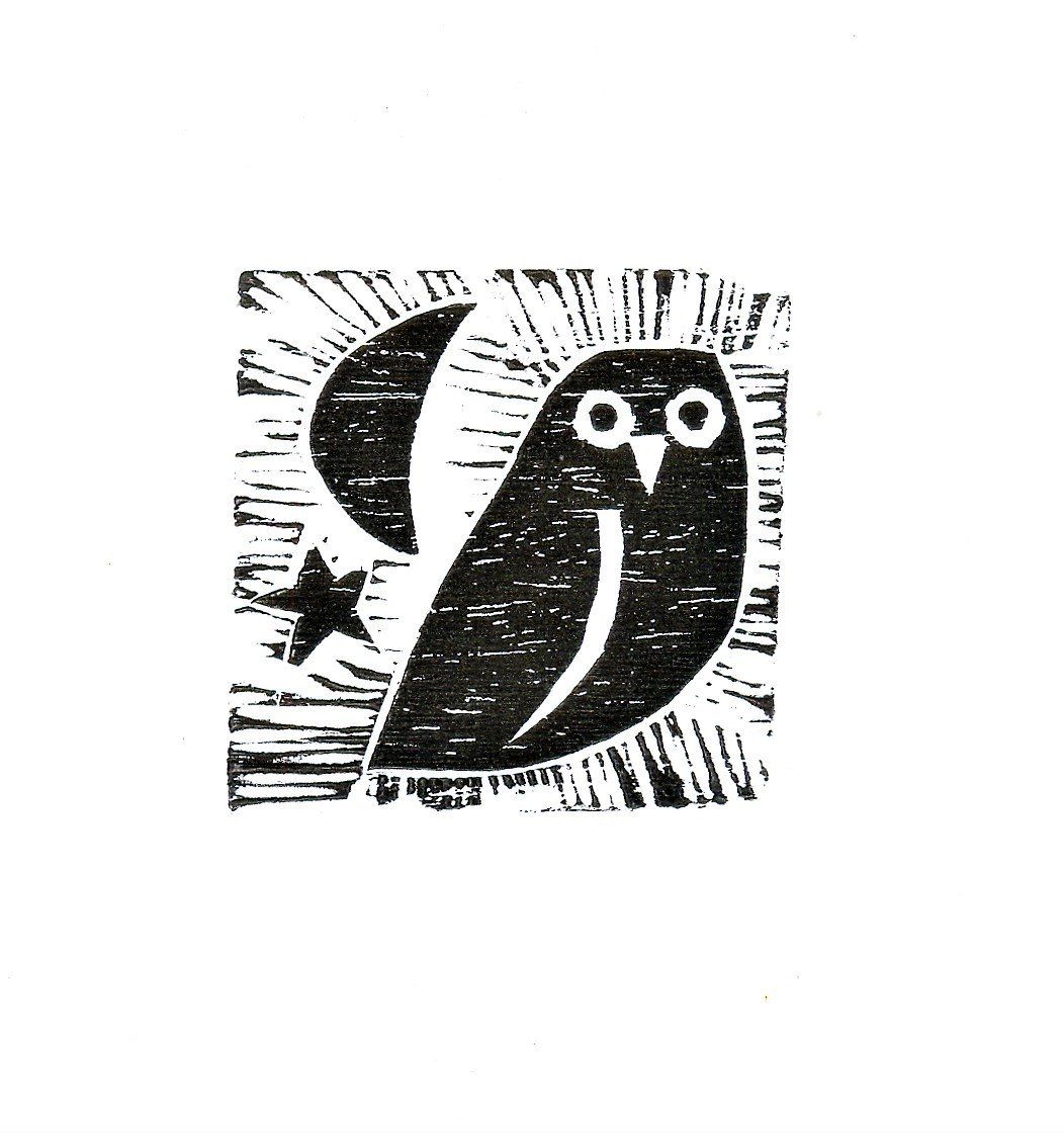 xilogravura desenho corujinha coruja preto branco edgard bittencourt natureza maluca