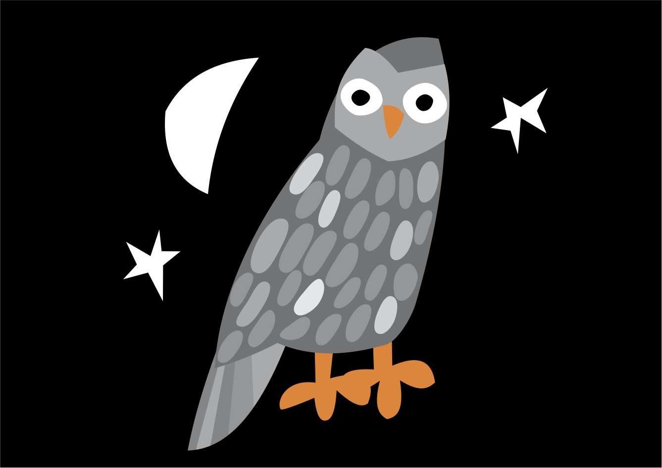 estampa desenho coruja branca noite estrelas lua edgard bittencourt natureza maluca