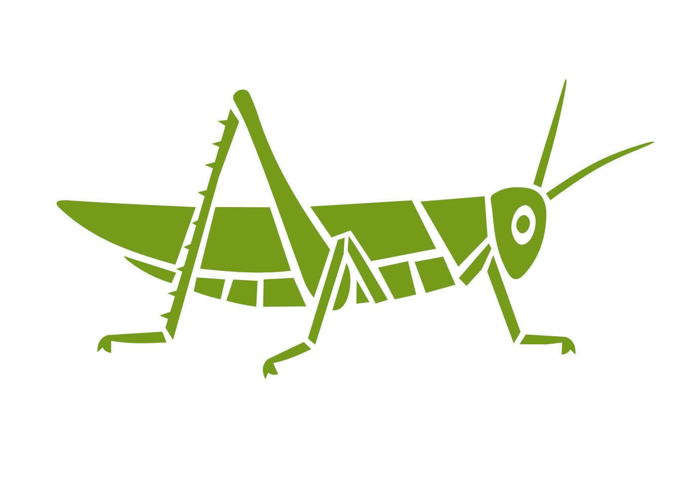 estampa desenho grilo verde edgard bittencourt natureza maluca