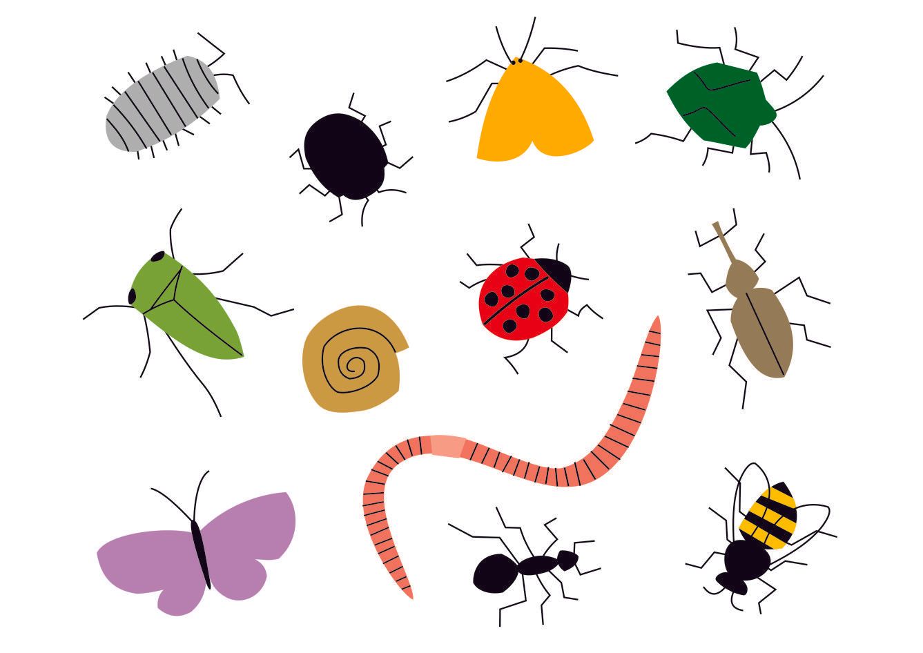 estampa desenho insetos edgard bittencourt natureza maluca