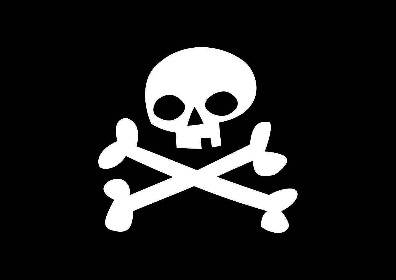 estampa desenho caveira ossos pirata  edgard bittencourt natureza maluca