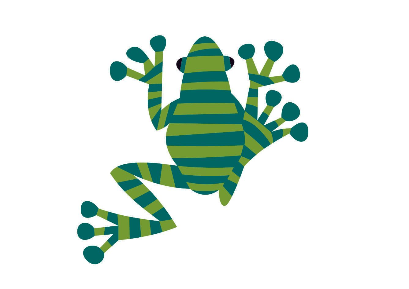 estampa desenho sapo perereca rã listrado listras verde edgard bittencourt natureza maluca
