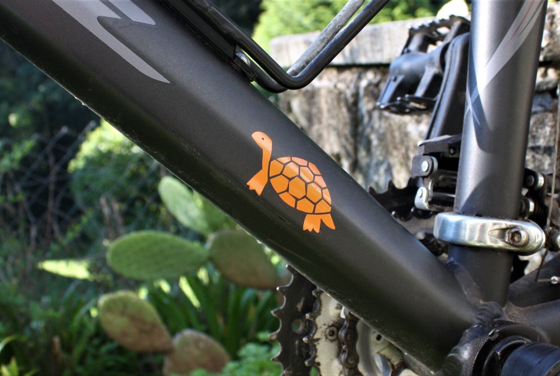 foto adesivo desenho estampa tartaruga cano bicicleta preta edgard bittencourt natureza maluca
