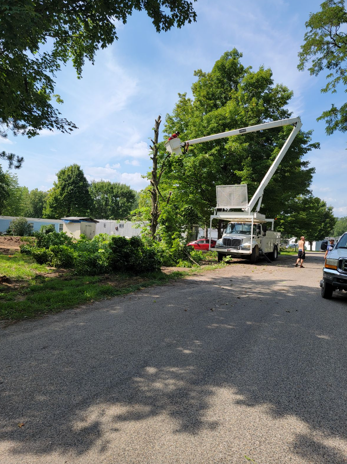 A truck with a crane on top of it is cutting a tree.