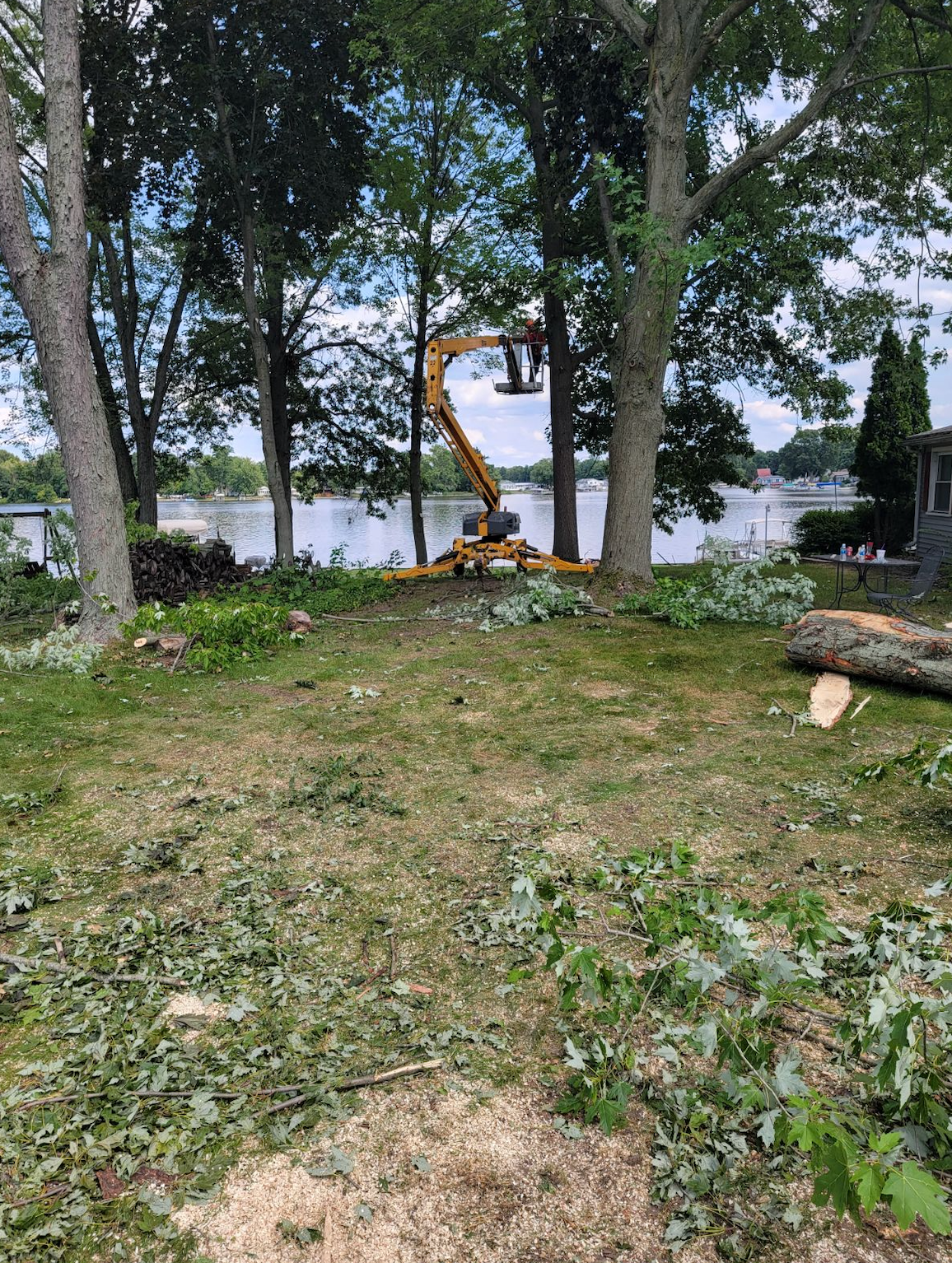 A tractor is cutting a tree in a yard next to a body of water.