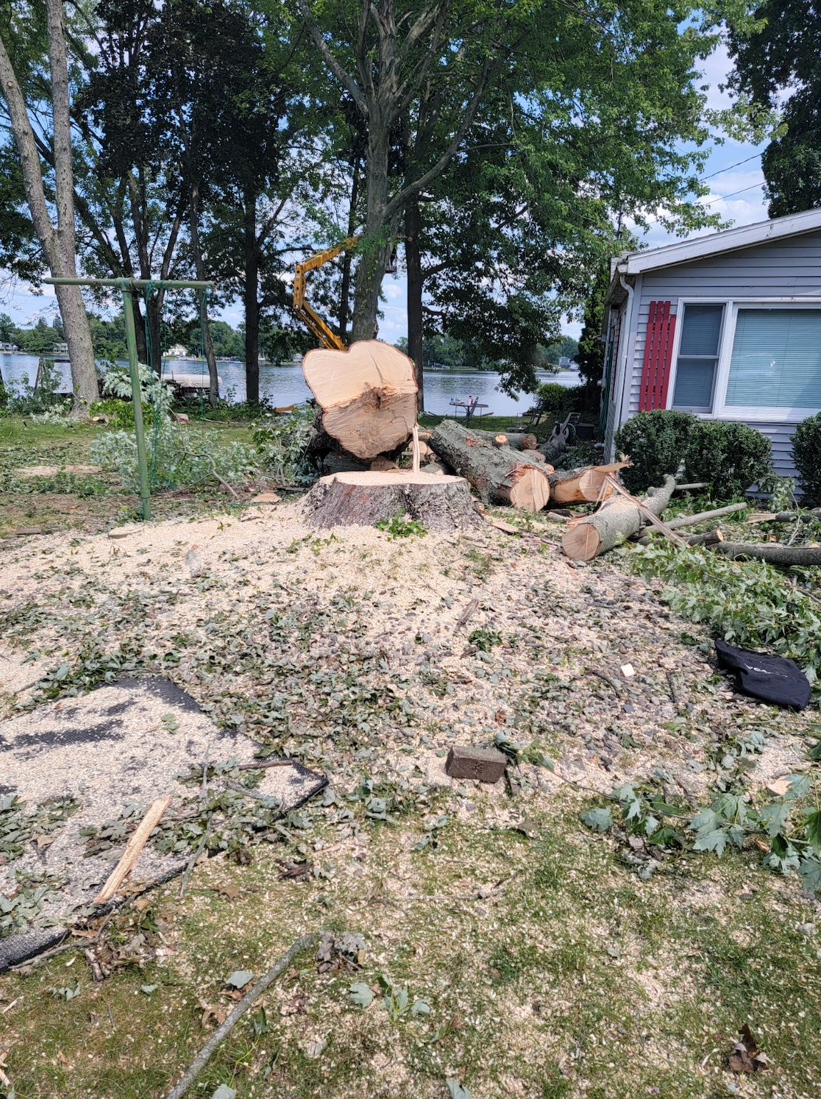 A tree stump is being removed from a yard in front of a house.
