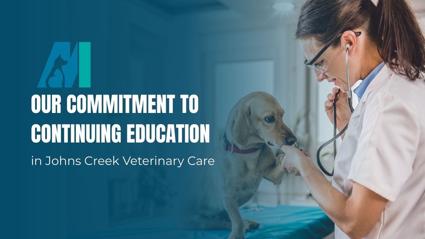 A veterinarian listens to a dog's heart with a stethoscope; text reads, 