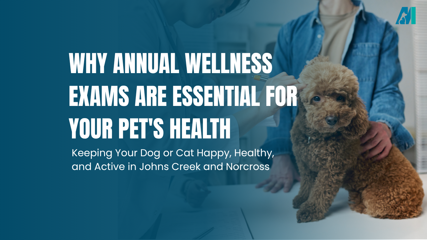 Annual wellness exams for pets, with a fluffy brown dog beside a veterinarian in a blue coat
