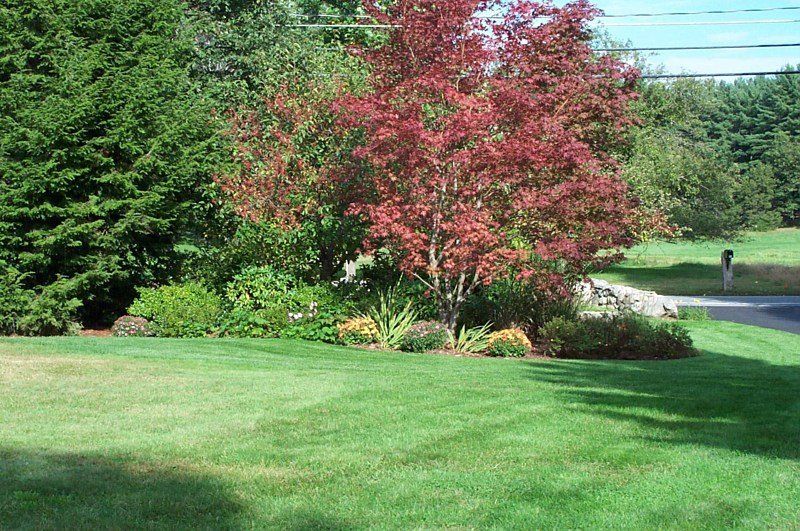 Maintaining Your Lawn Stillwater, OK Prairie's Edge Landscaping