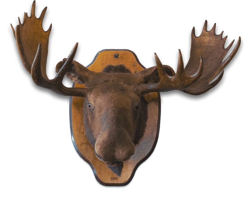 The Sidetrack Bar & Grill Depot Town, Ypsilanti