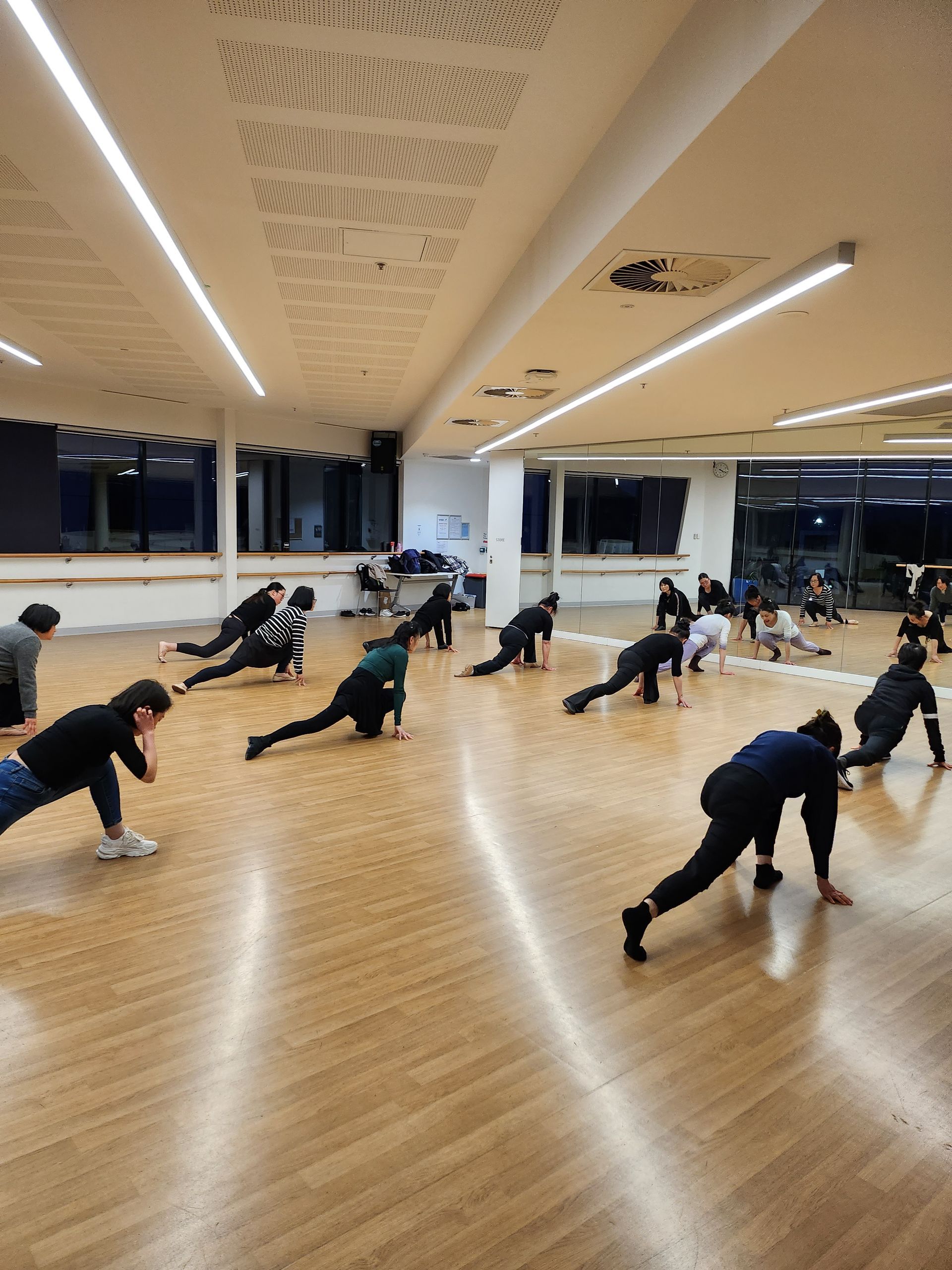 Chinese Dance Class