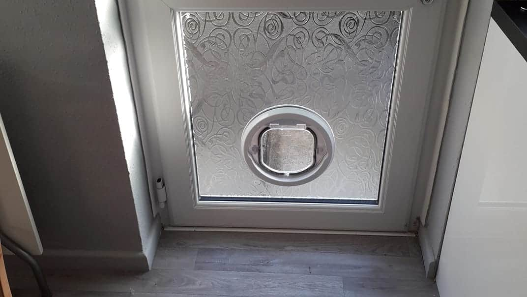round cat flap in a textured glass door