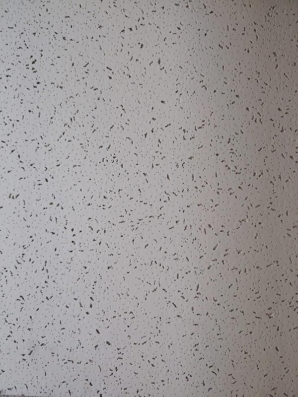 Plafón fisurado2 productos am 1920w