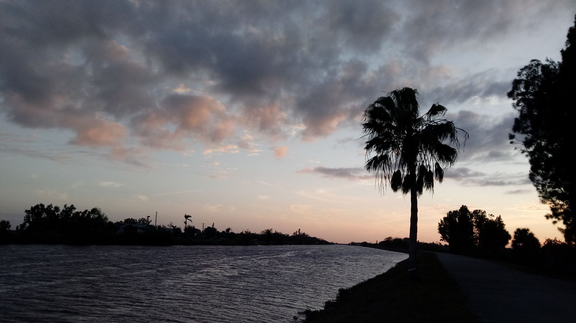 A sunset over a body of water with a palm tree in the foreground