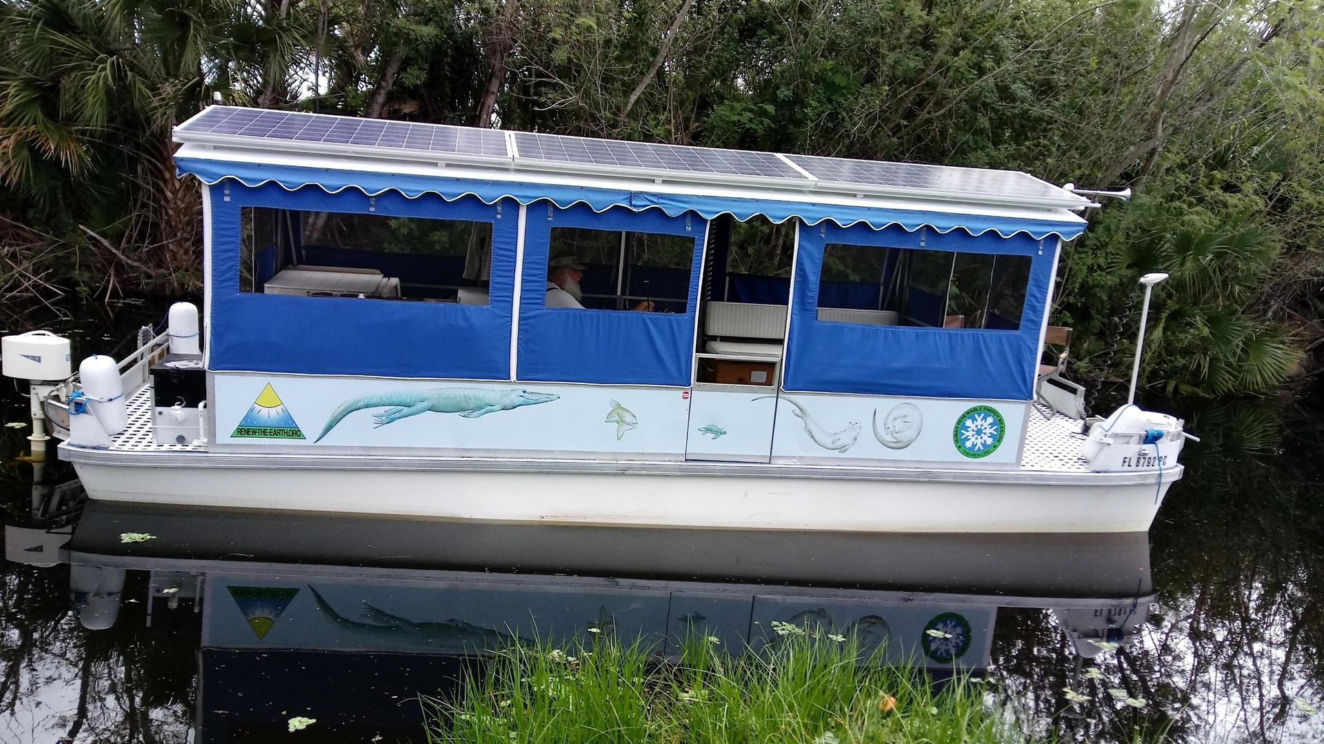 Solar-powered pontoon boat with blue awning and white body, decorated with nature-themed images, floating on dark water.