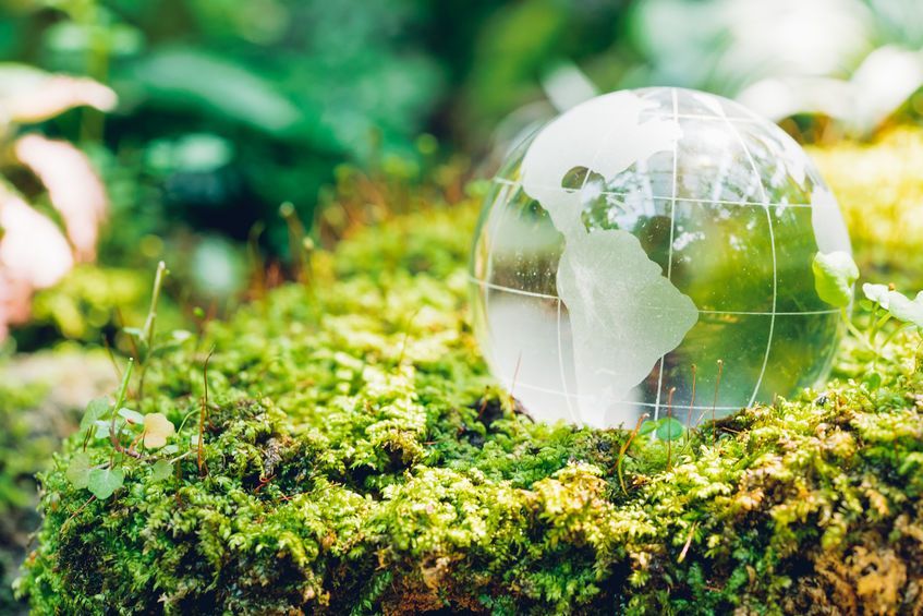 A glass globe is sitting on top of a mossy rock.