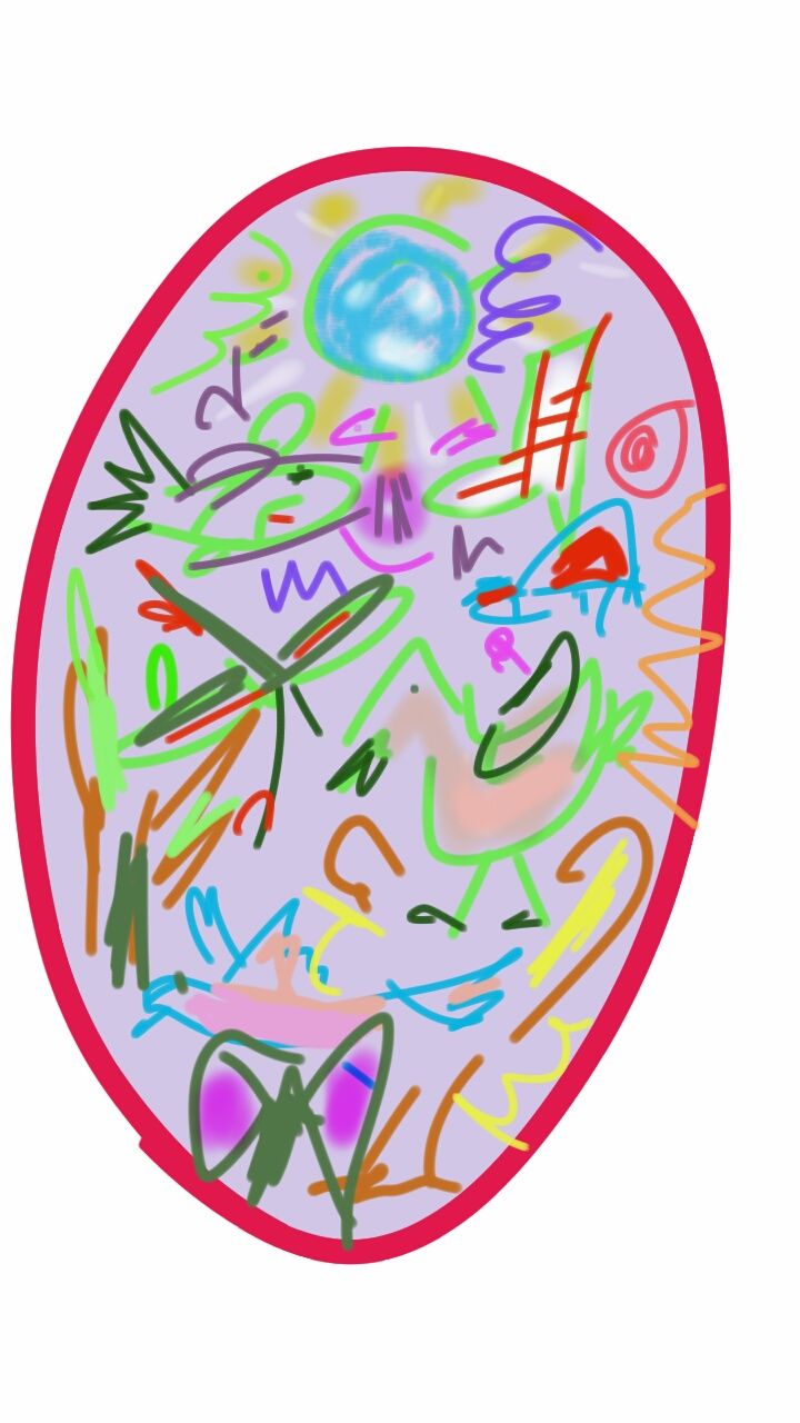 A colorful drawing of a cell with a red border