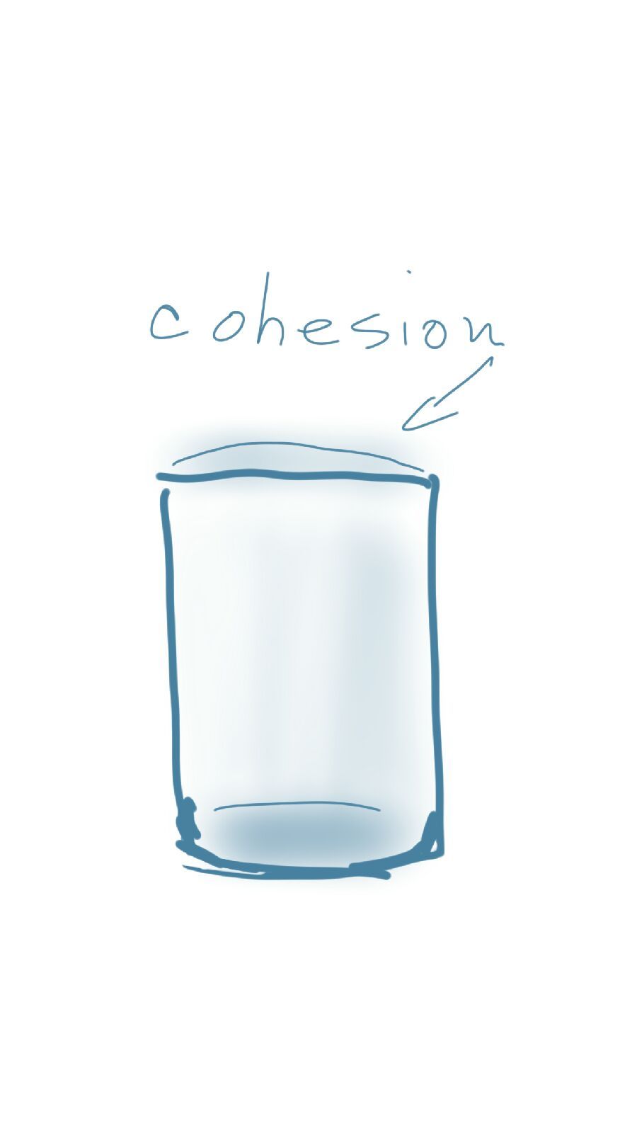 A drawing of a glass with the word cohesion written on it