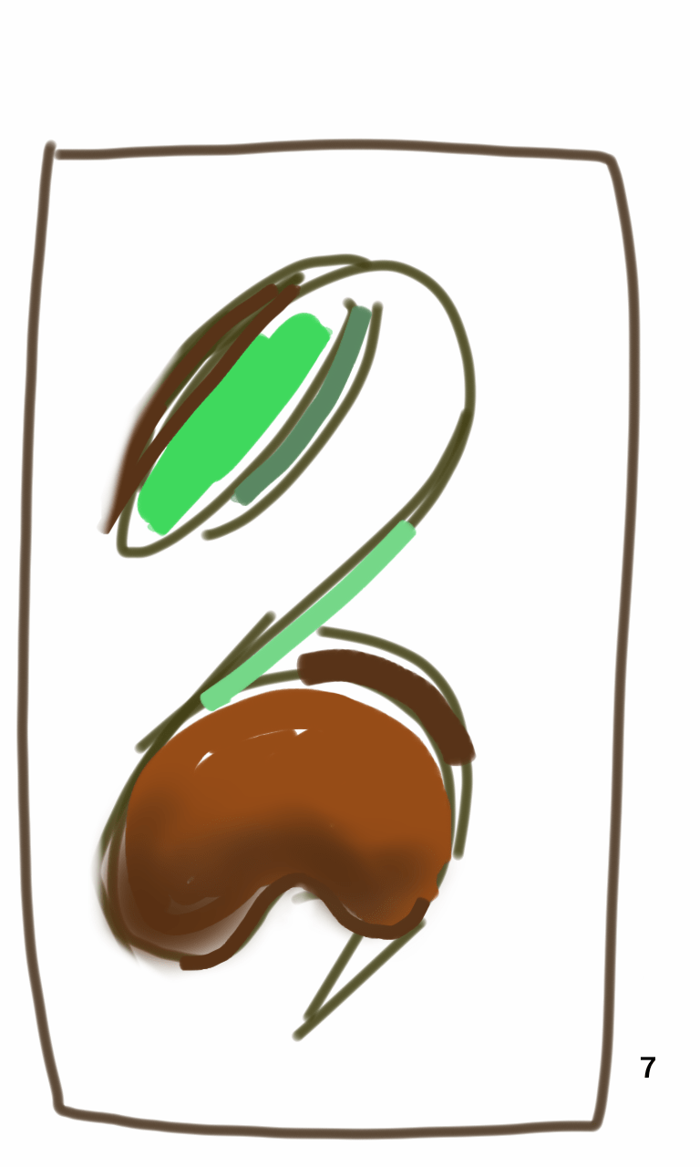 A drawing of a bean with a green stem