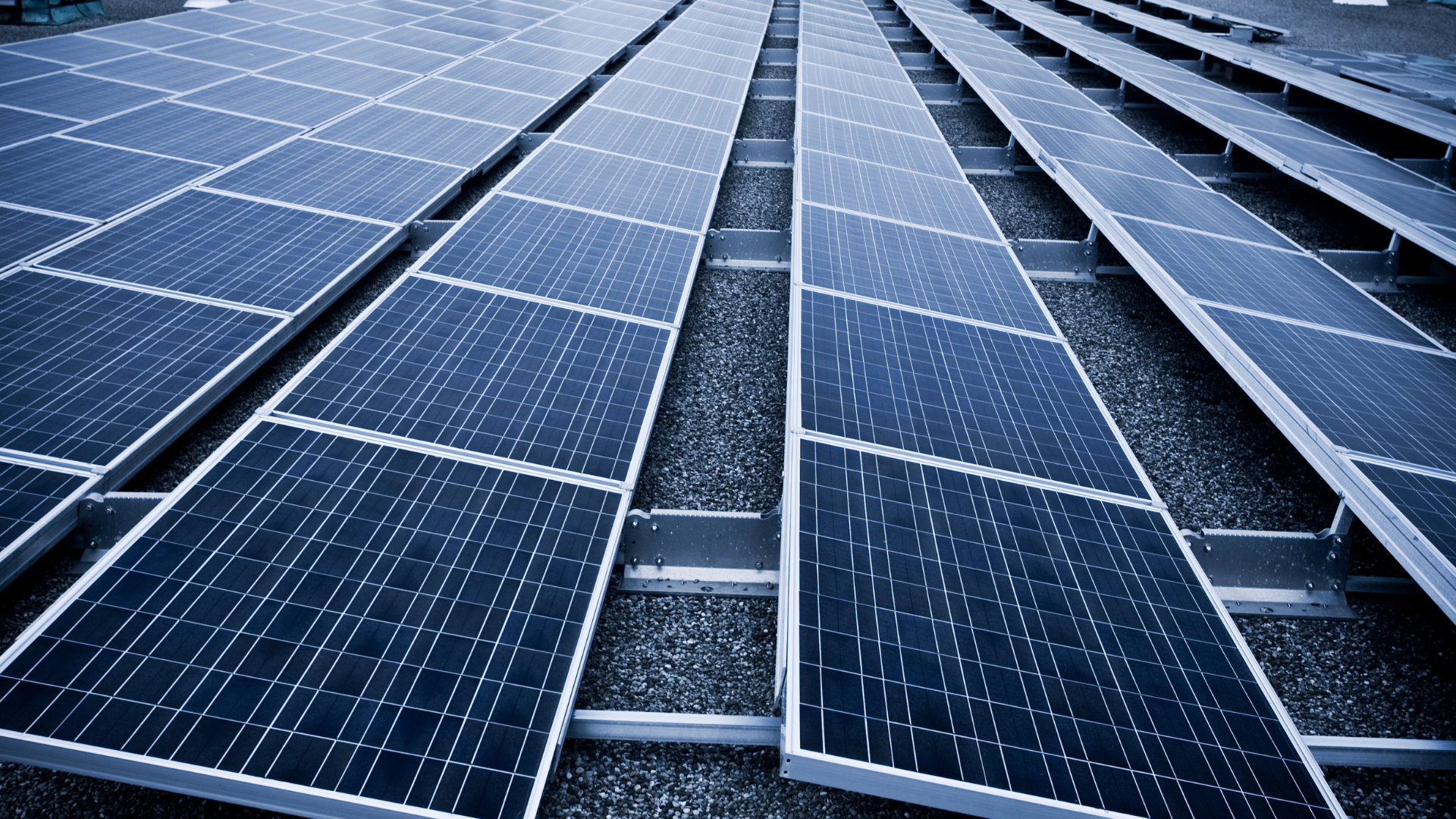 A row of solar panels are lined up on the ground