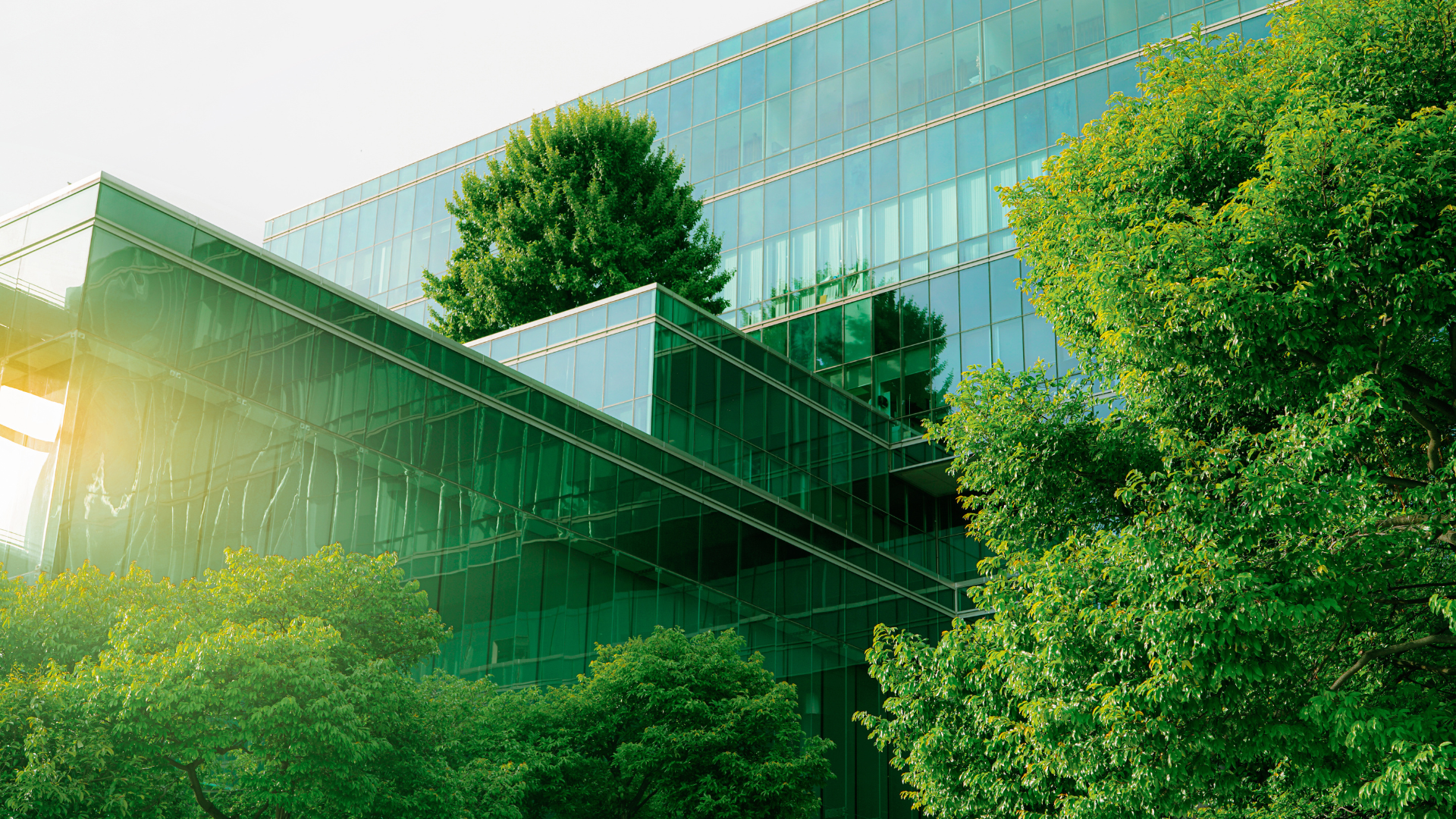 A large glass building with trees in front of it.