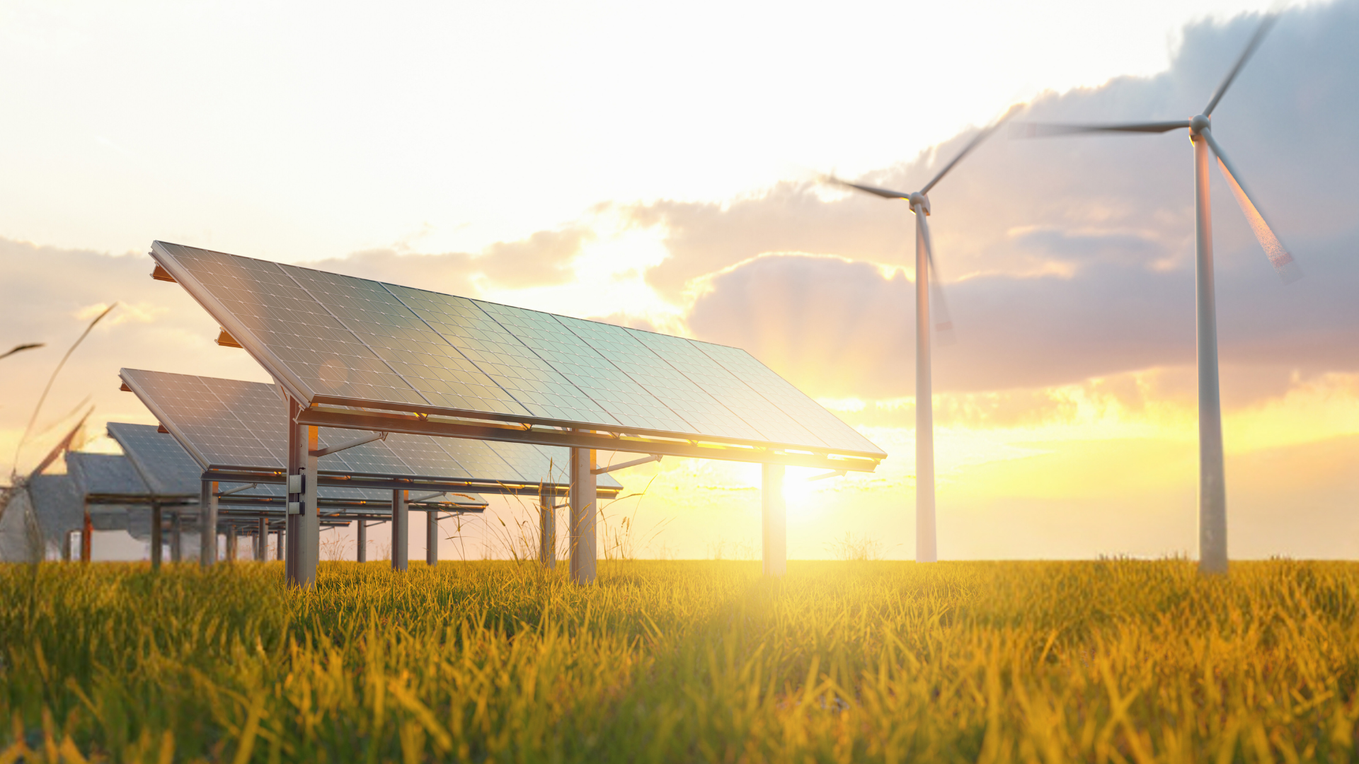 A field of grass with solar panels and wind turbines at sunset.