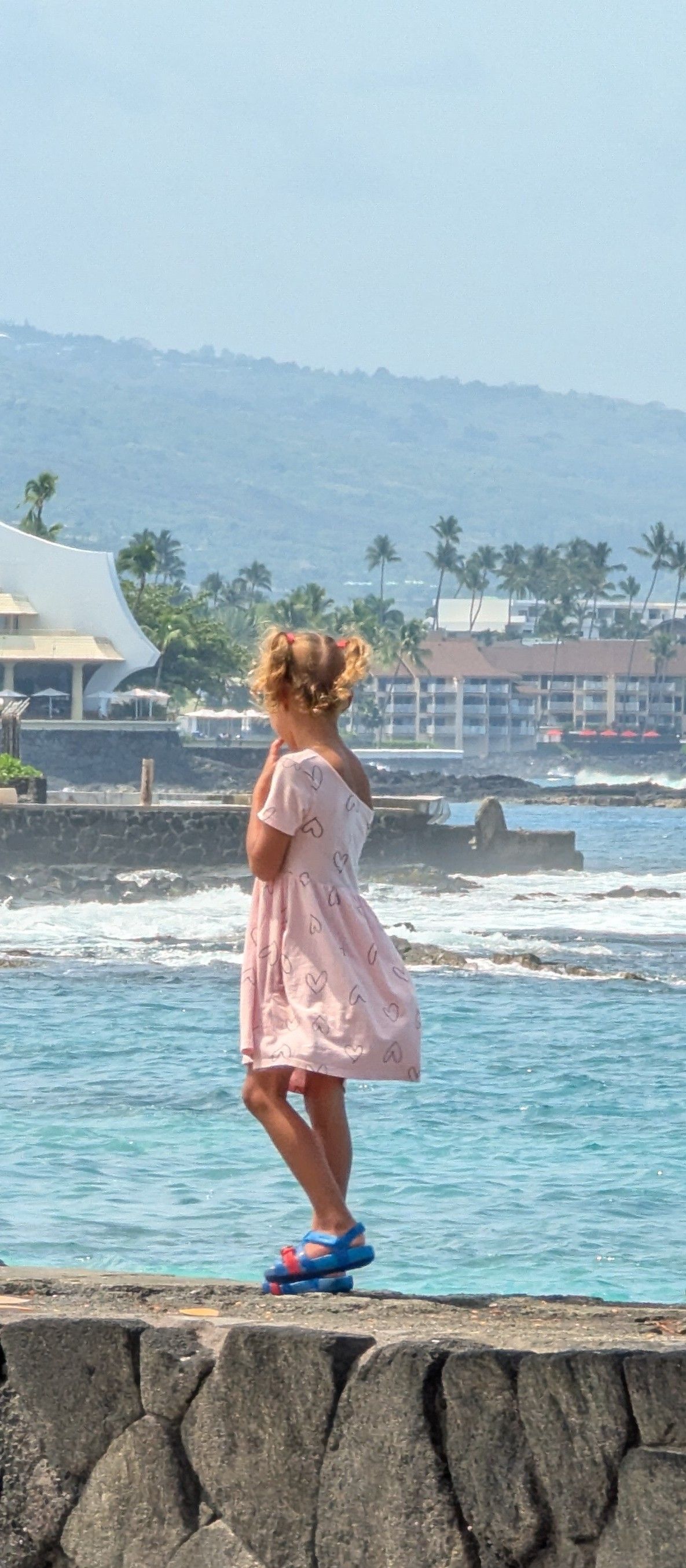 A little girl in a pink dress is standing on a wall overlooking the ocean.