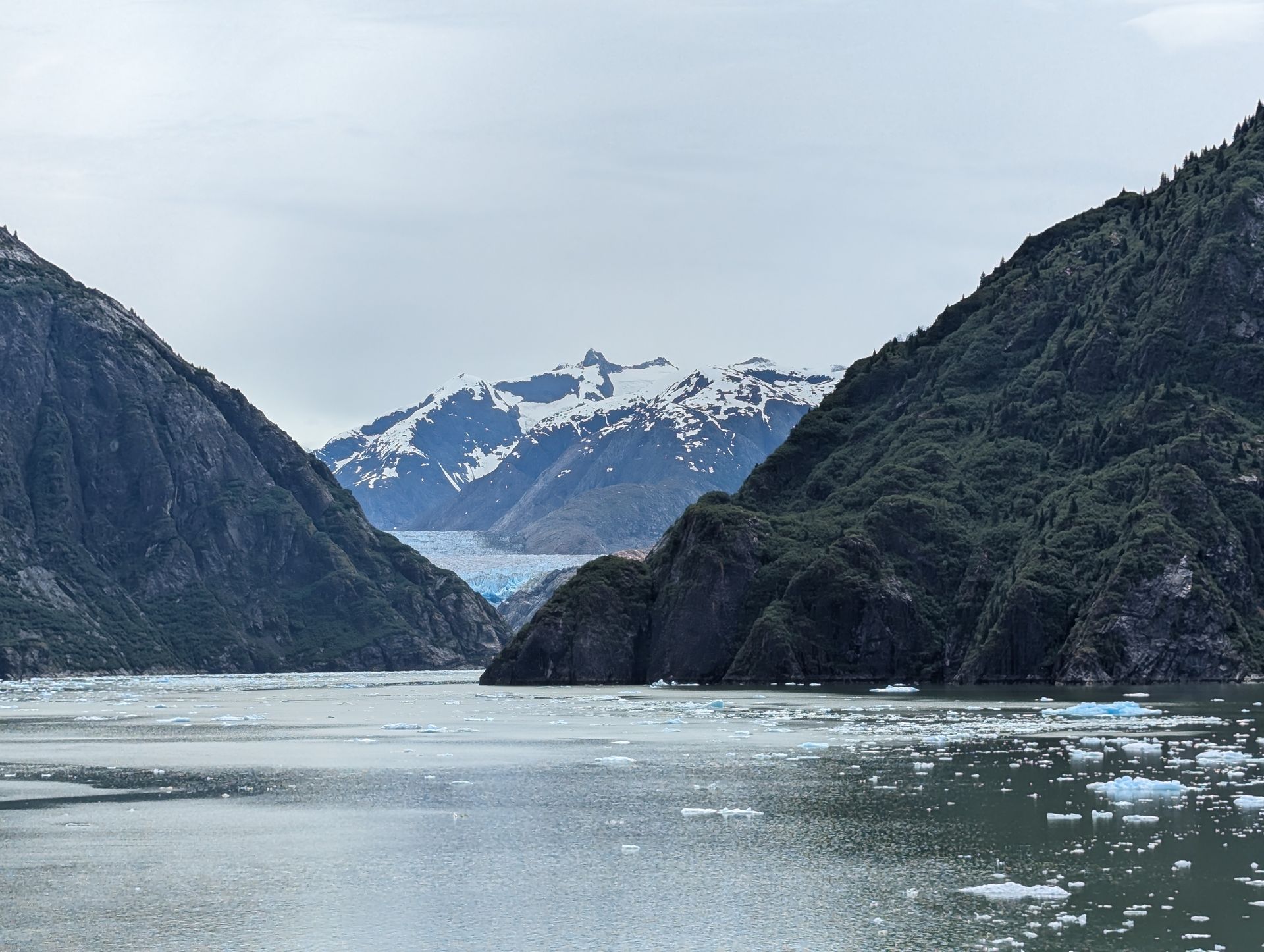 A glacial fjord scene with dark mountains, a turquoise glacier, and icy water under a cloudy sky.