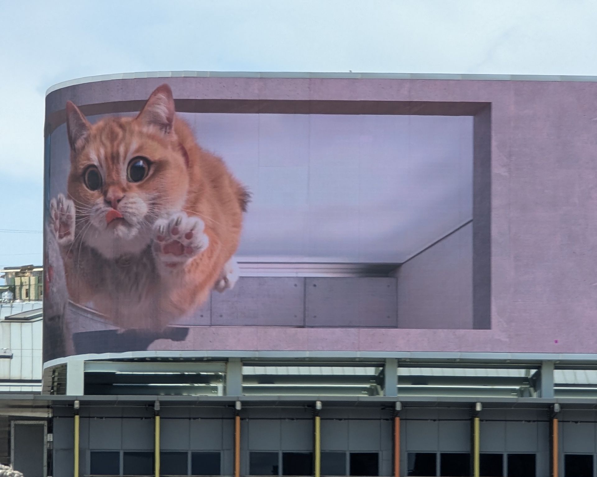 Giant orange tabby cat on a building, reaching out. The cat appears to be inside a window or frame.