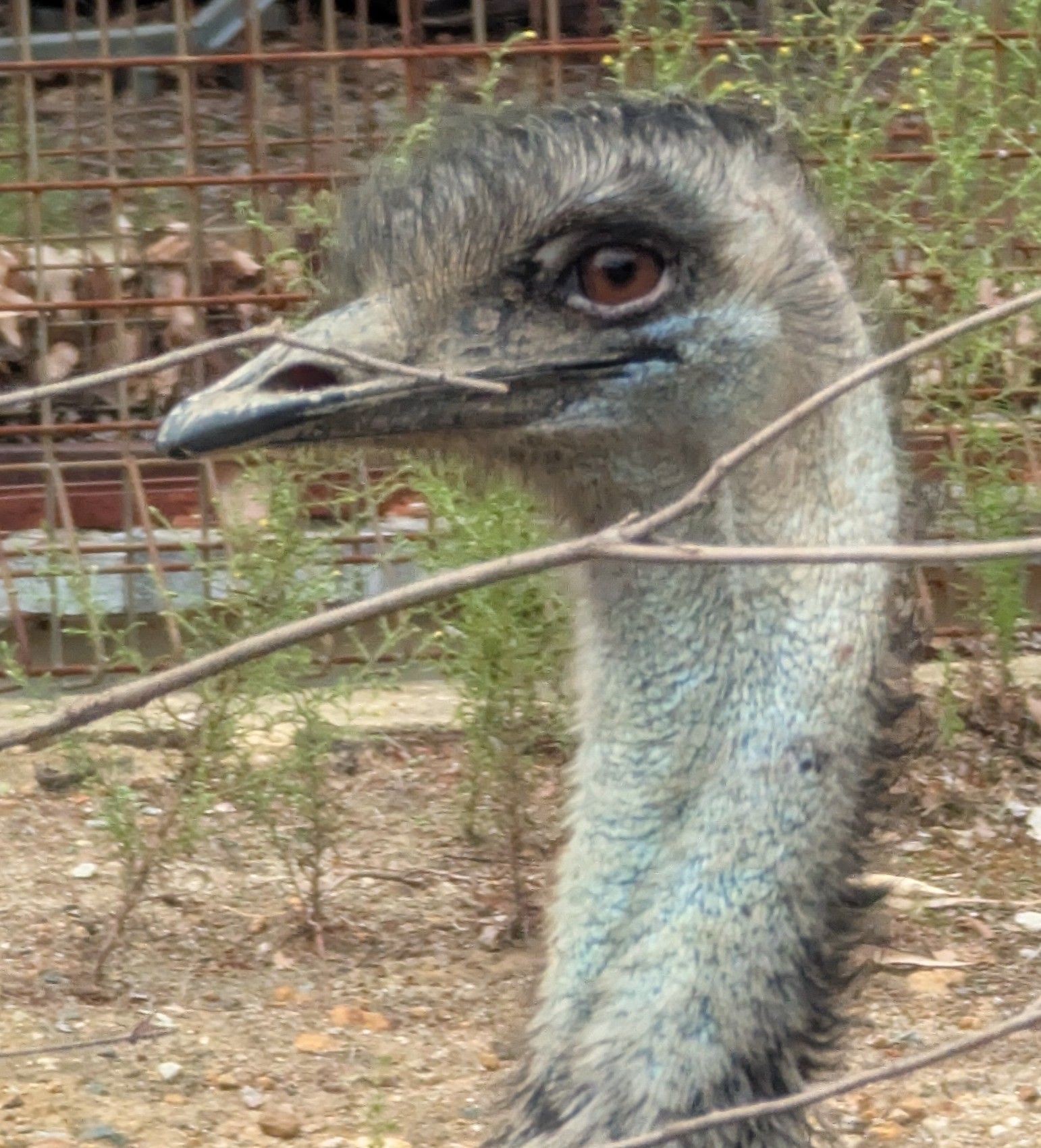 Two kayaks on a calm lake, with mountains and cloudy sky in the background.