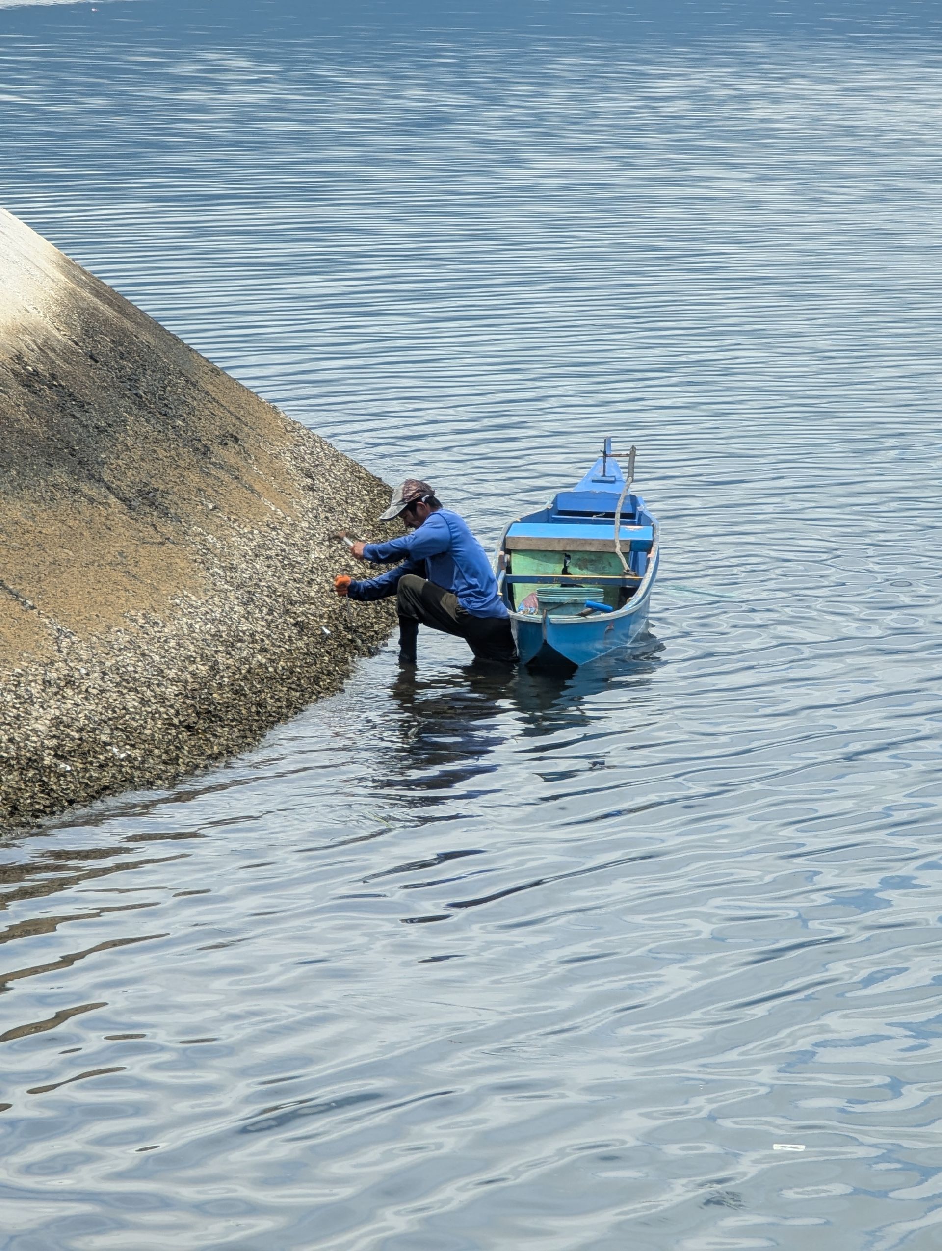Man in a blue shirt and pants near a small blue boat, collecting from a rocky structure in the water.