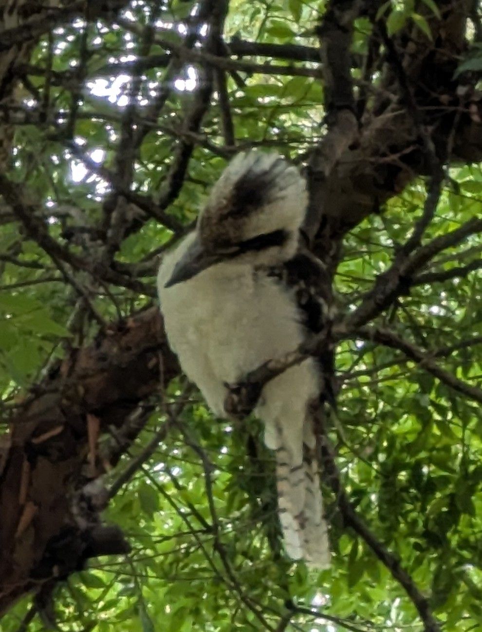 Children playing near a boat, next to a wooden building. One child jumps, others sit or stand.