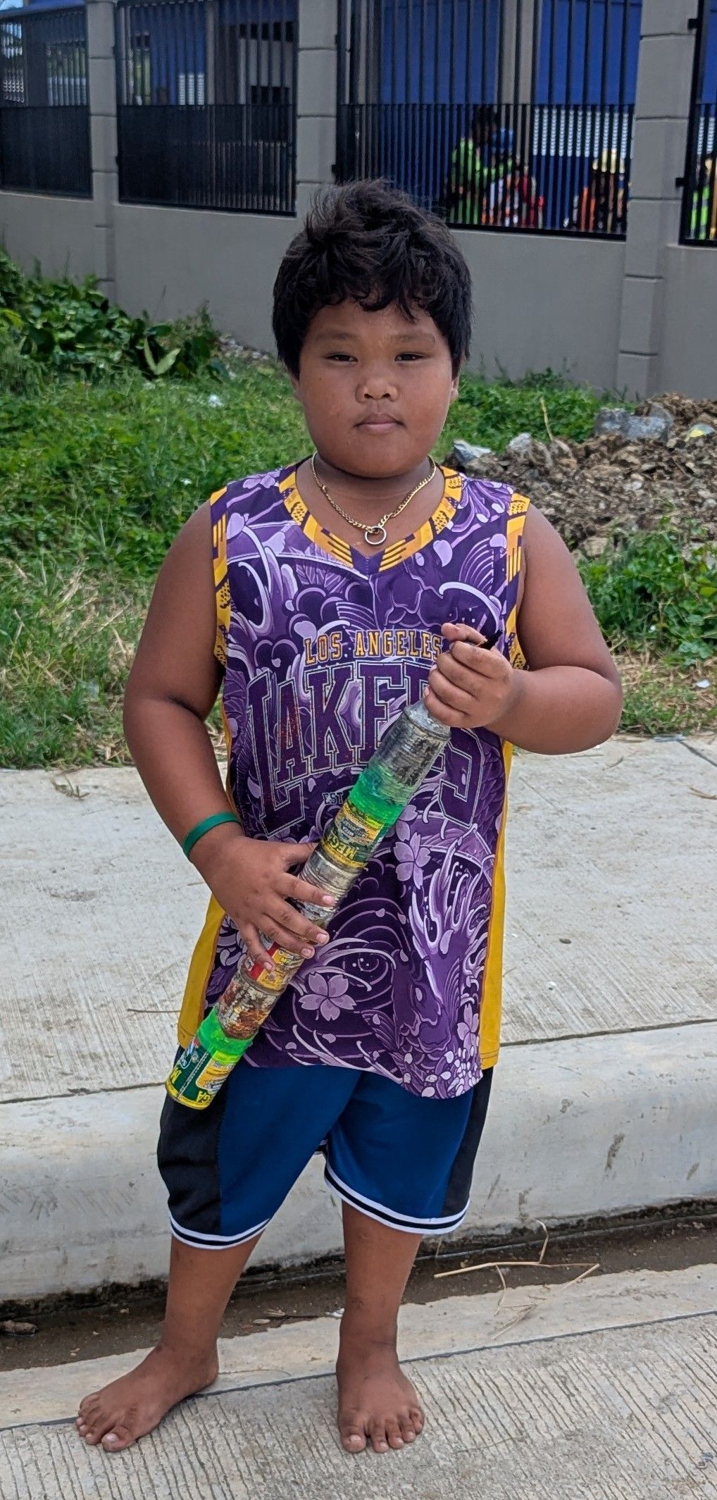Political campaign posters line a street, with buildings and a tree in the background.