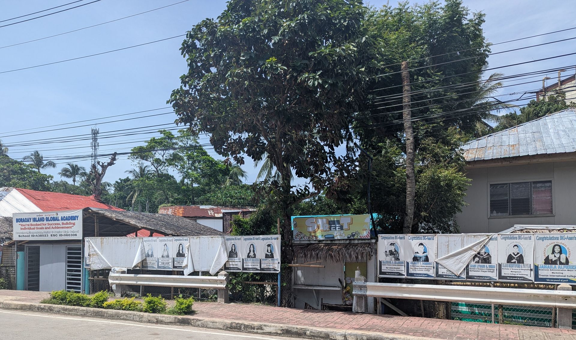 Political campaign posters line a street, with buildings and a tree in the background.