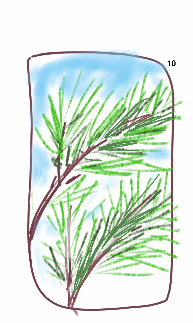 A drawing of a pine tree branch with a blue sky in the background.