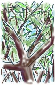 A drawing of a tree with lots of branches and leaves