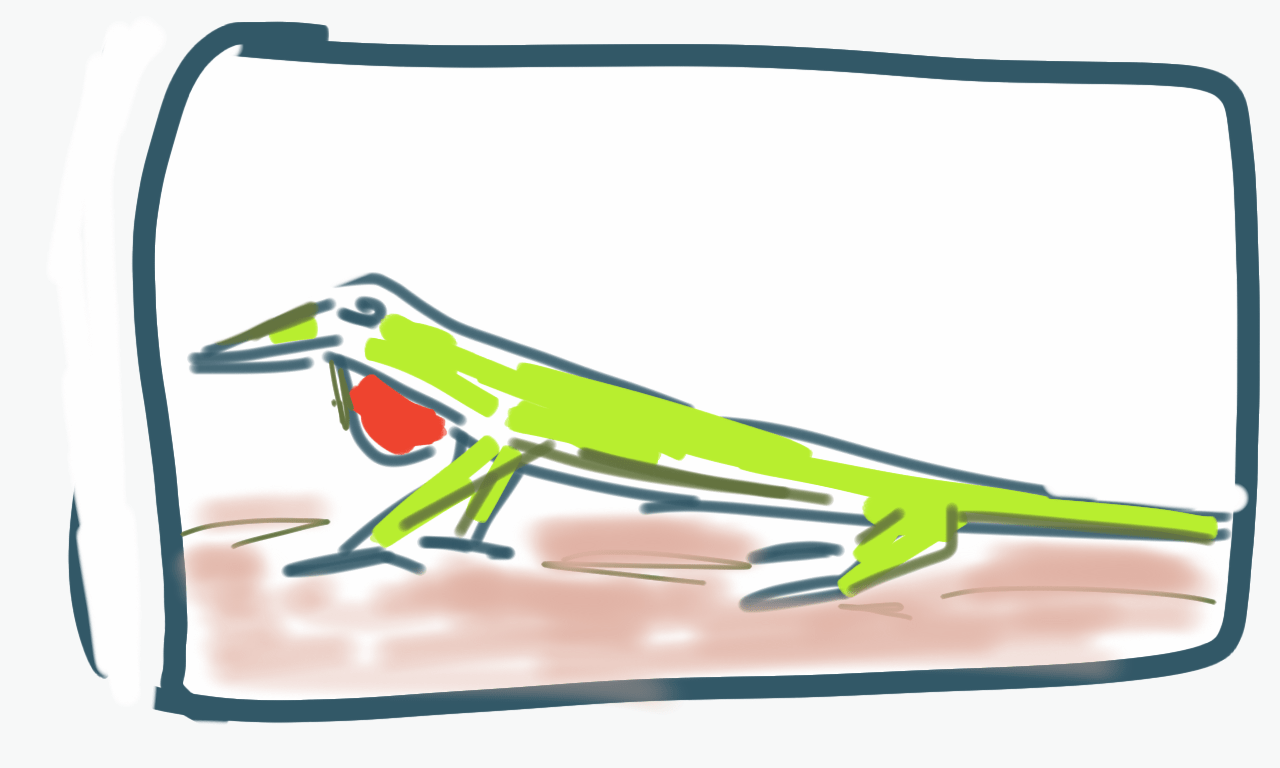 A drawing of a lizard with its mouth open.