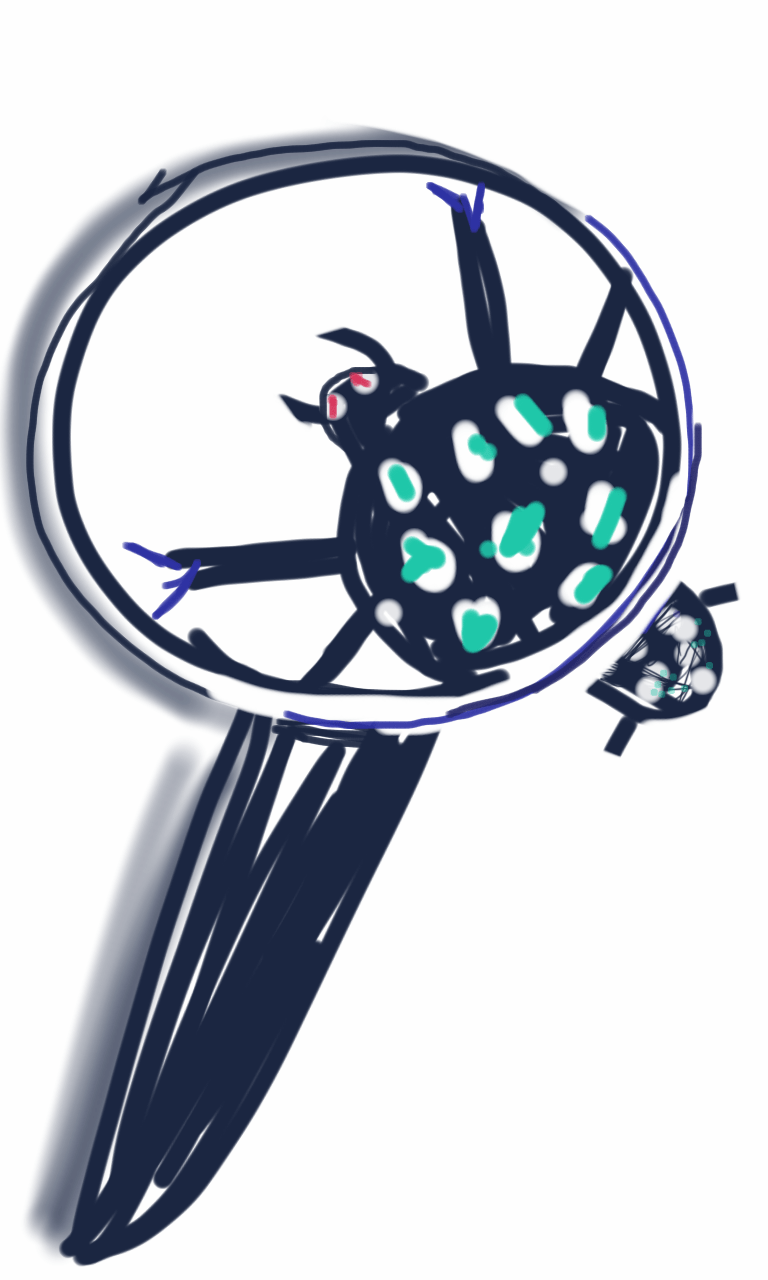 A drawing of a spider in a magnifying glass