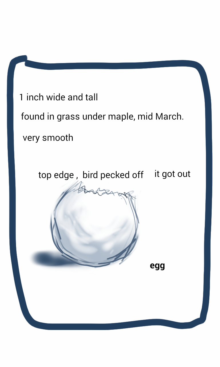 A drawing of a snowball with the words `` 1 inch wide and tall '' written on it.