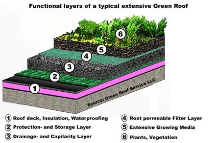 A diagram showing the functional layers of a typical extensive green roof